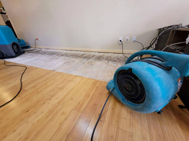 Professional Water Removal technician working in Charlotte, TX